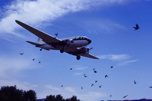 DC-3