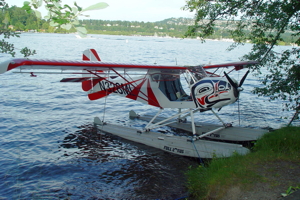 Kitfox