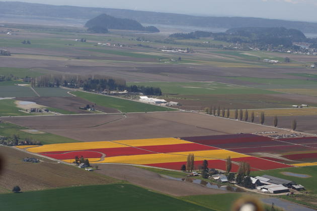 The Skagit tulip fields from the air, enroute to Arlington for Ma's DG-1000 flight.