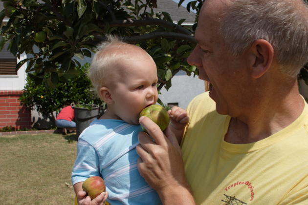 Teaching Nathaniel the proper way to munch on a home-grown apple. Photo by Katie Kasprzyk.