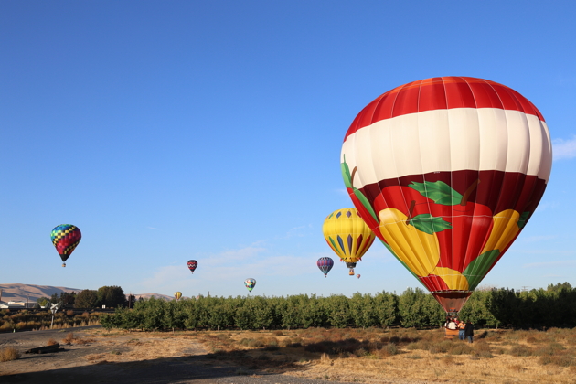 Dave and Sandy Wiser's 'Fruit Flies' just after touchdown with friends airborne at Prosser. My photo.